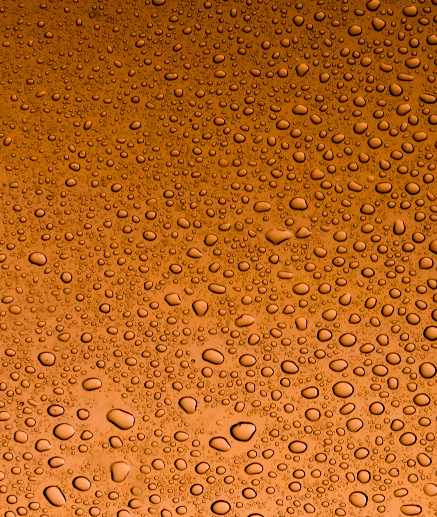 Noir Distillé Parfum