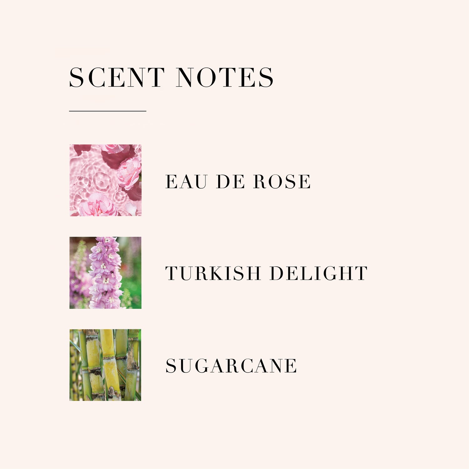 Sensarom - Colorant Alimentaire Liquide - Rose Rose - 1-2-Taste IN